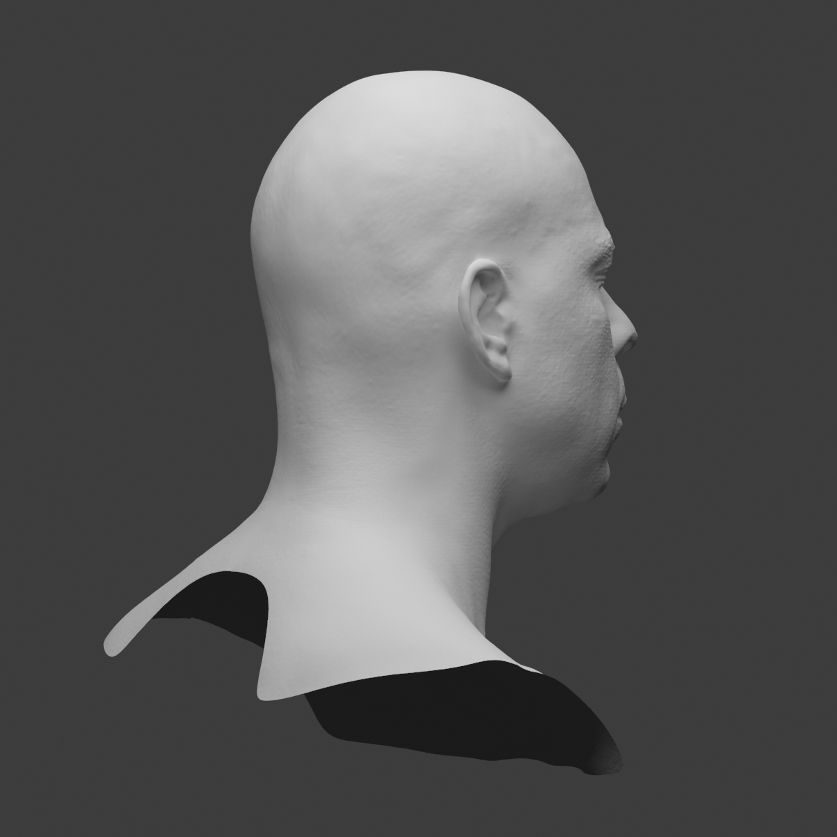 3d model scan head