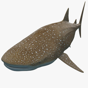whale shark max