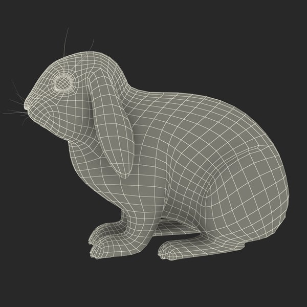 3d model rabbit gray fur