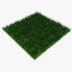 grass 03 c4d