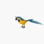 3d model parrot animation flying