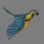 3d model parrot animation flying