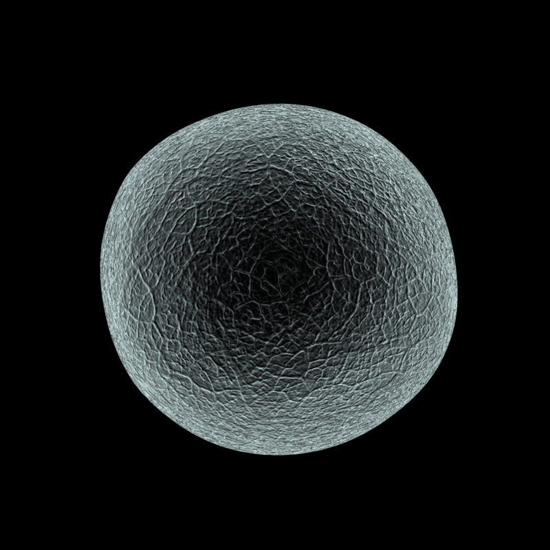 3d model human egg cell microscope