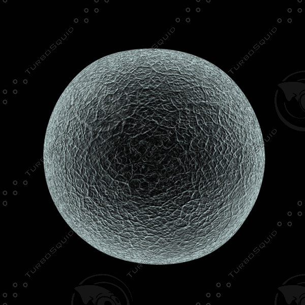 3d model human egg cell microscope