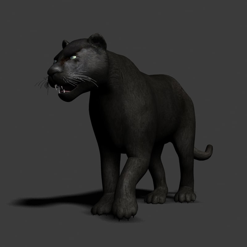 black panther 3d model