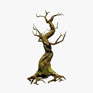 crooked mossy tree 3d model