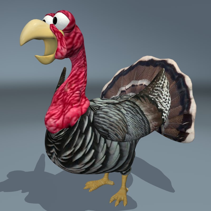 3d turkey