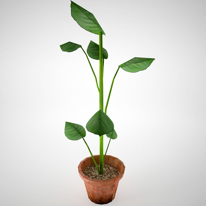  3d model flower pot 