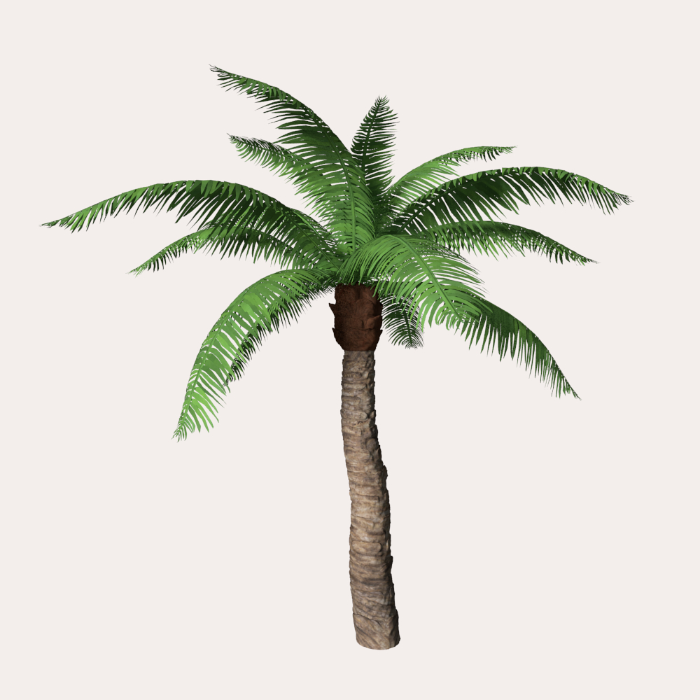 3d model palm tree