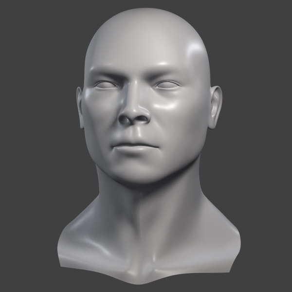 3d model realistic male head