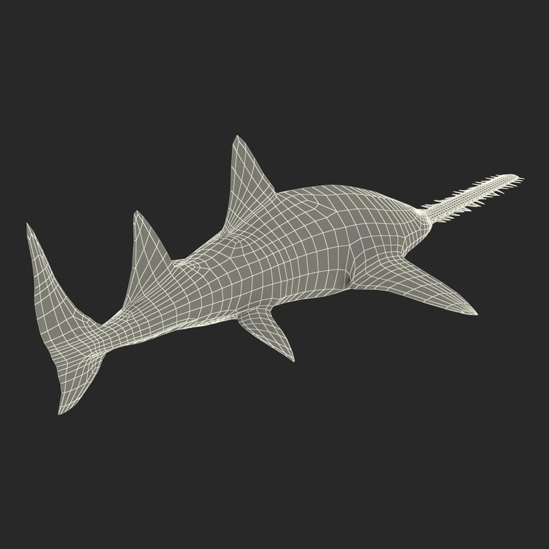 sawfish fish 3d max