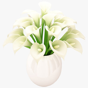 3d model beautiful white flowers bouquet