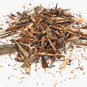 3d model of wood debris