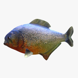 3d piranha fish
