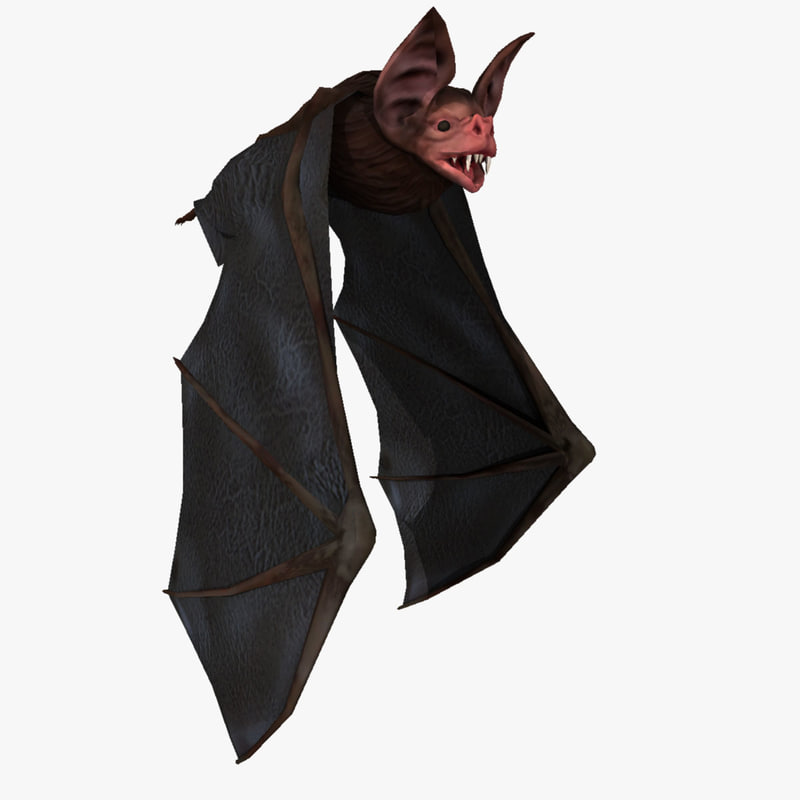 吸血蝙蝠动画3d模型
