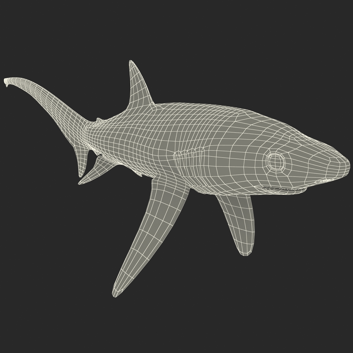 3ds max fox shark