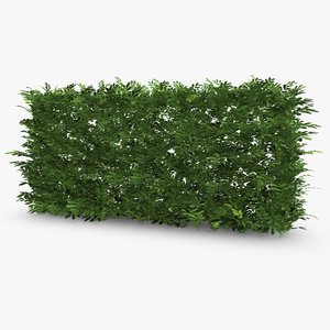 3ds max common laurel hedge
