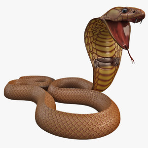 3d model snake cobra pose 5