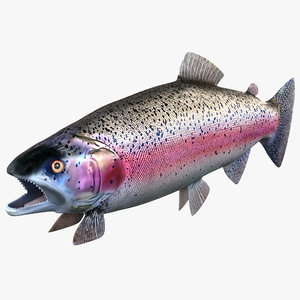 rainbow trout 3ds