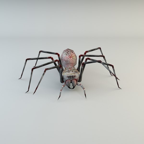 free spider 3d model