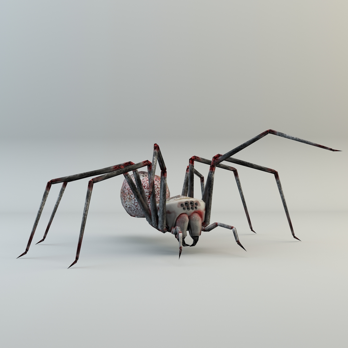 free spider 3d model