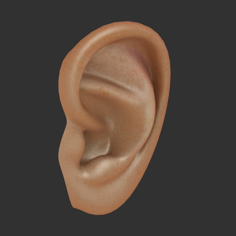 max realistic human ear