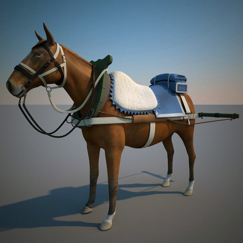 harnessed horse 3d 3ds