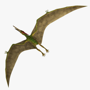 3d pteranodon wild prehistoric model