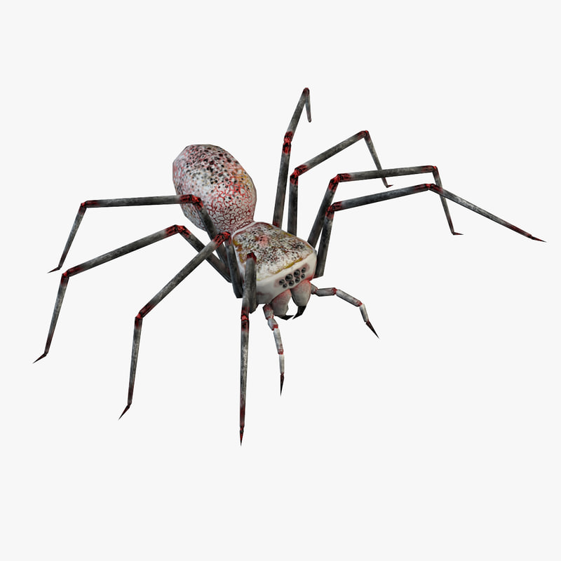 free spider 3d model