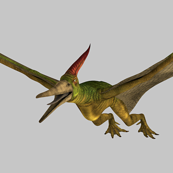 pteranodon 3d