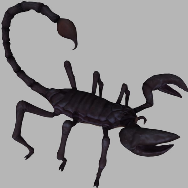 3d Ma Black Scorpion Animations 2458