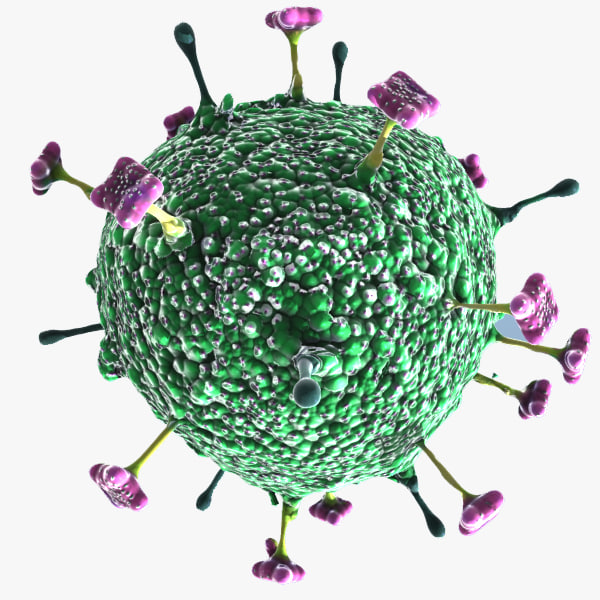 尼帕病毒3d模型