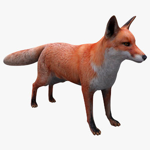 3ds max red fox