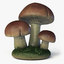 mushroom ready games 3d max