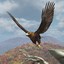 3d model golden eagle