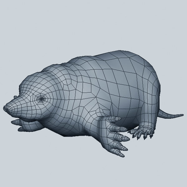 3ds mole