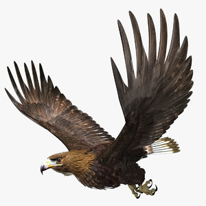 3d model golden eagle