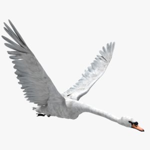 swan animators 3d model