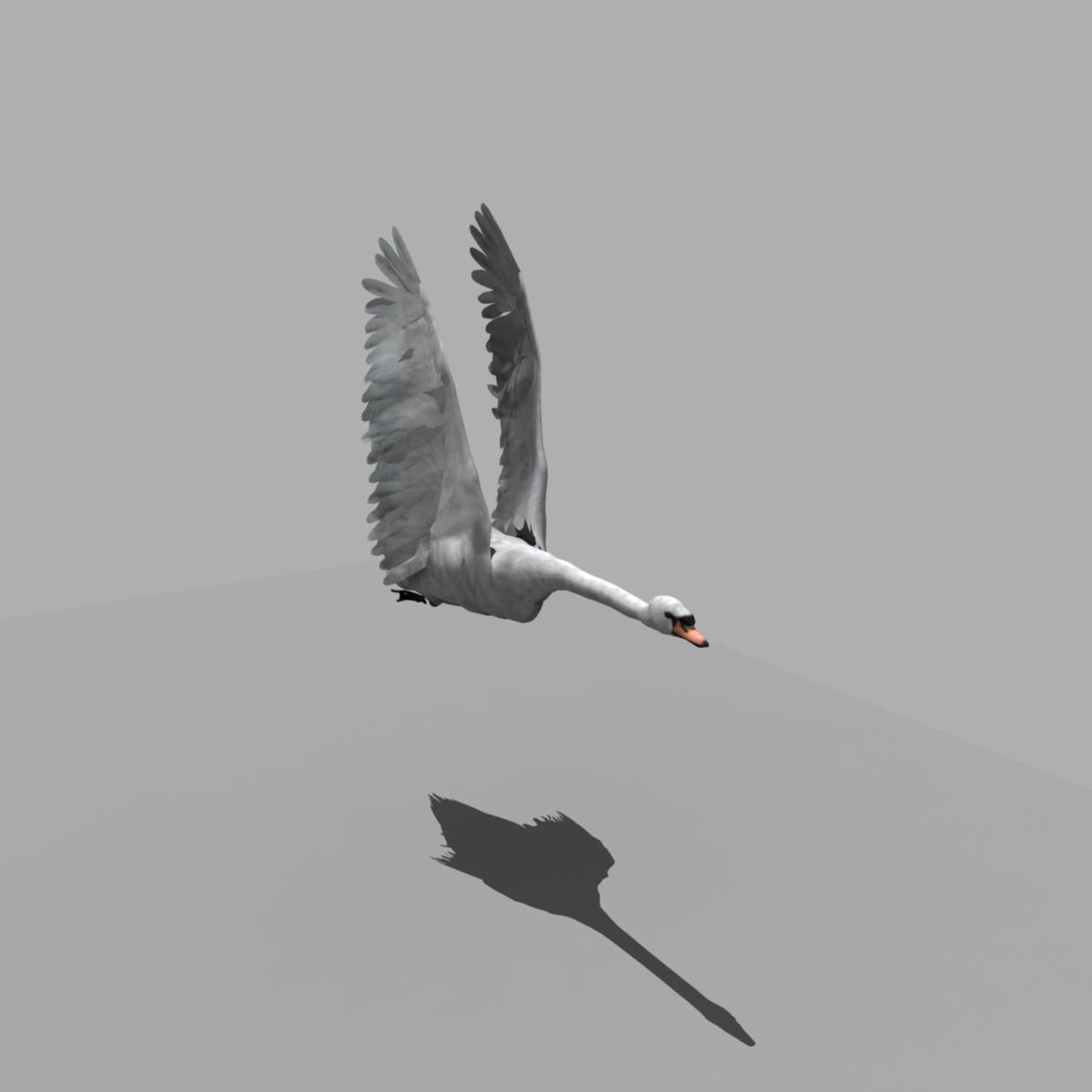 天鹅(动画)3d模型