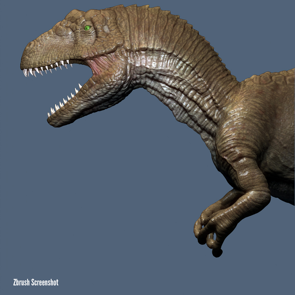 allosaurus fragilis a revised osteology