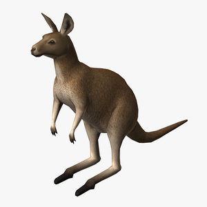 kangaroo edge loop 3d model