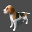 model of s dog beagle real-time
