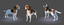 model of s dog beagle real-time
