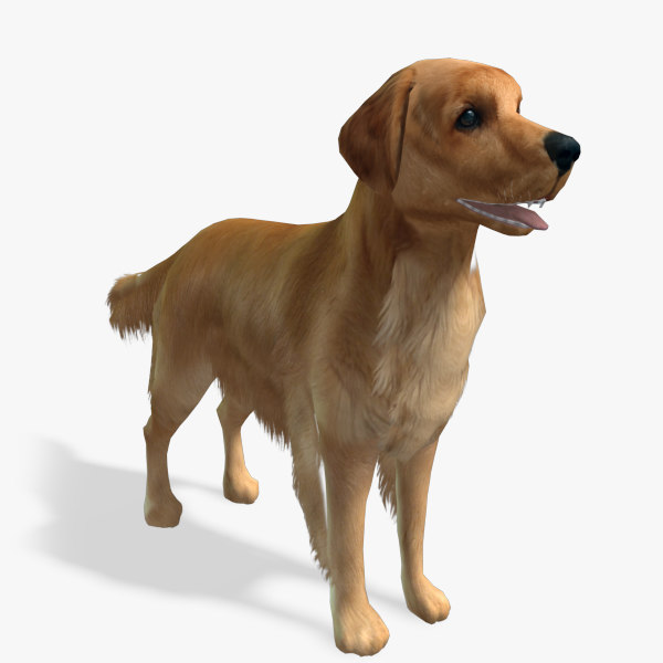 games dog en retriever obj