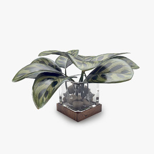 3d model vase leaves