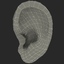 human ear 3ds