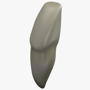 3d incisor tooth