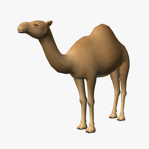 camel edge loop 3d obj