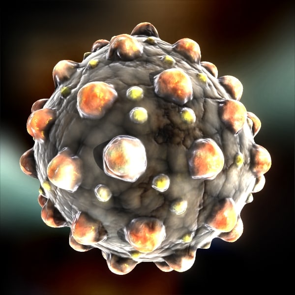 measles virus 3d max