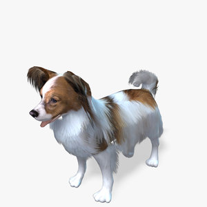 s dog papillon real-time model